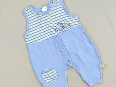 Overall, 1-3 months, condition - Very good