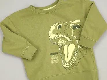 Bluza, Little kids, 3-4 lat, 98-104 cm, stan - Idealny