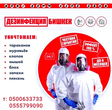 Дезинфекциялоо, дезинсекциялоо, | Канталалар, Бүргөлөр, Таракандар, | Транспорт, Офистер, Батирлер