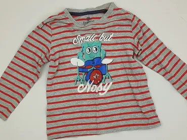 Sweatshirt, Lupilu, 3-4 years, 98-104 cm, condition - Very good