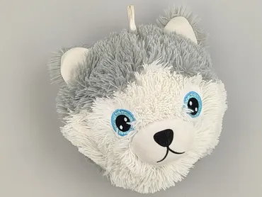 Mascot condition - Very good
