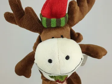 Mascot