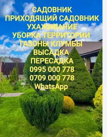 Аймактарды жыйнап тазалоо, Газон чабуу, Башка Бак-дарактарга кам көрүү