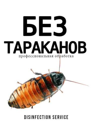 Дезинфекция, дезинсекция, | Тараканы, | Квартиры, Офисы, Подвал, погреб