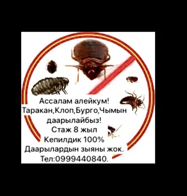 Дезинфекция, дезинсекция, | Блохи, Клопы, Тараканы, | Офисы, Дома, Кафе, магазины