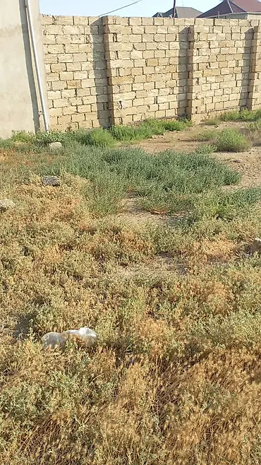 Torpaq, satılır, Digah