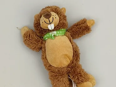 Mascot condition - Very good