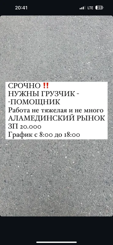 Жүк ташуучу. Аламедин базары