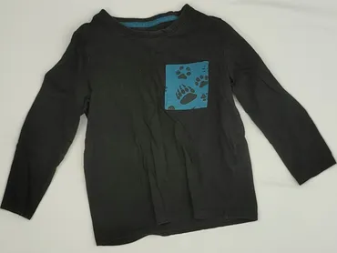 Sweatshirt, Little kids, 5-6 years, 110-116 cm, condition - Very good