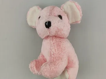 Mascot