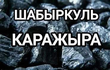 Уголь Кара-Жыра, Самовывоз, Бесплатная доставка, Платная доставка, Оптом, Фракция: Орех (О), В тоннах