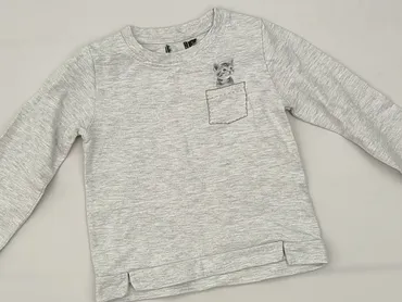 Sweatshirt, 5-6 years, 110-116 cm, condition - Very good