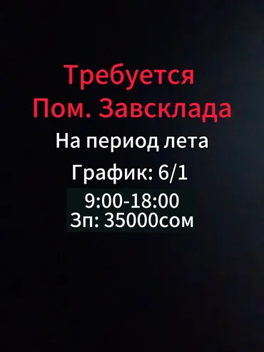 Помощник завскладом. Мадина
