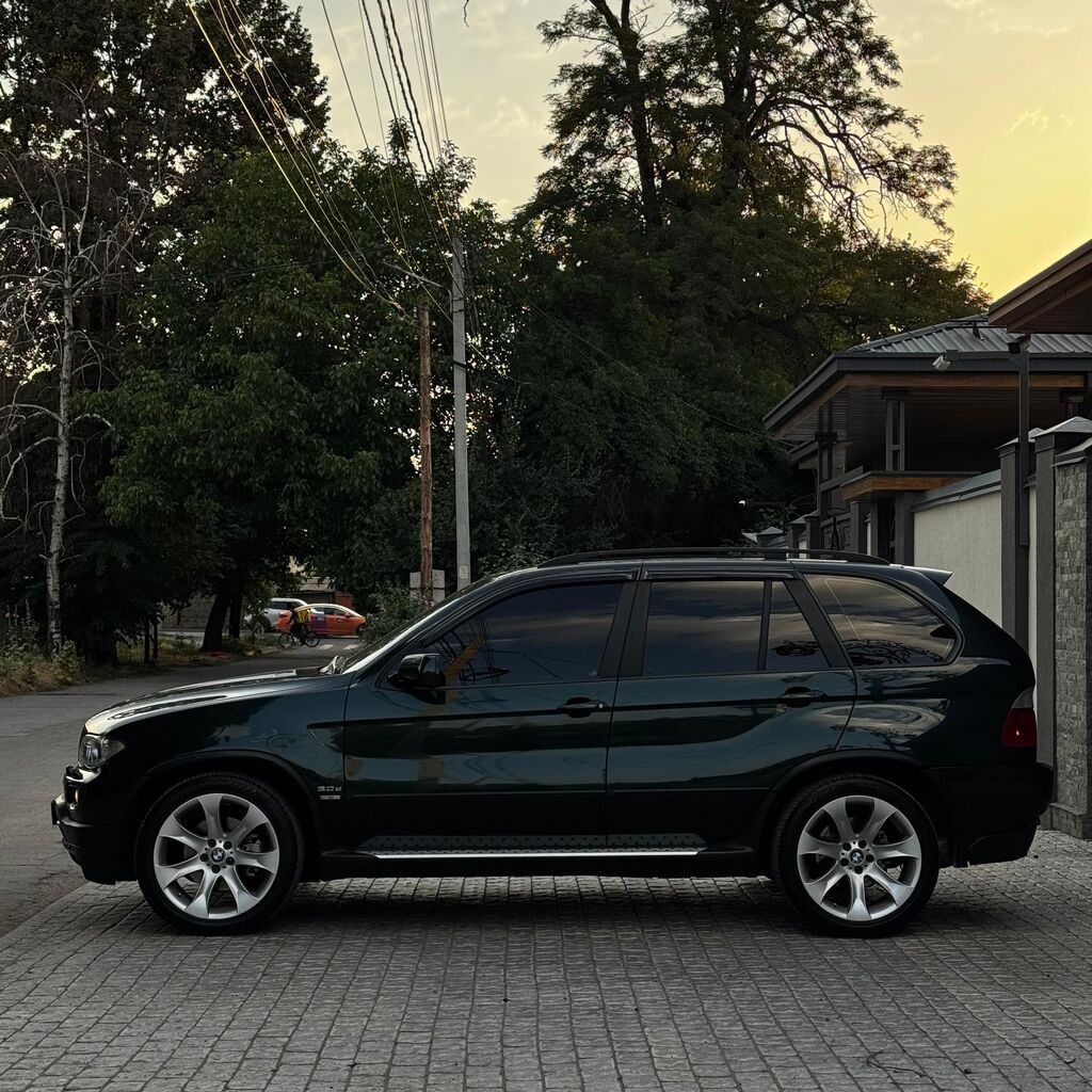 BMW X5: 2005 г., 3 л, Автомат, Дизель, Кроссовер: фото 4