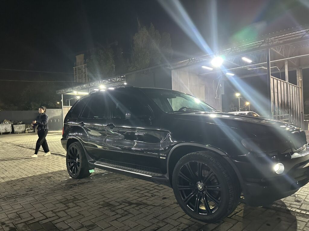 BMW X5: 2002 г., 3 л, Автомат, Дизель, Кроссовер: фото 8