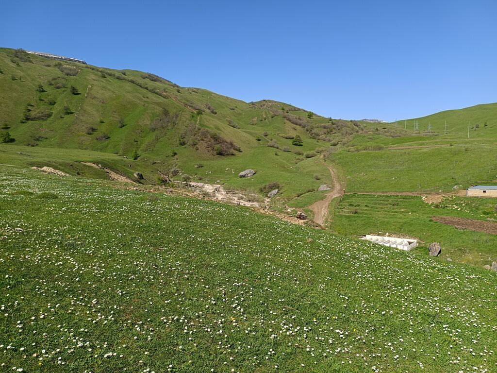 105 sot, Kənd təsərrüfatı, Mülkiyyətçi, Kupça (Çıxarış)