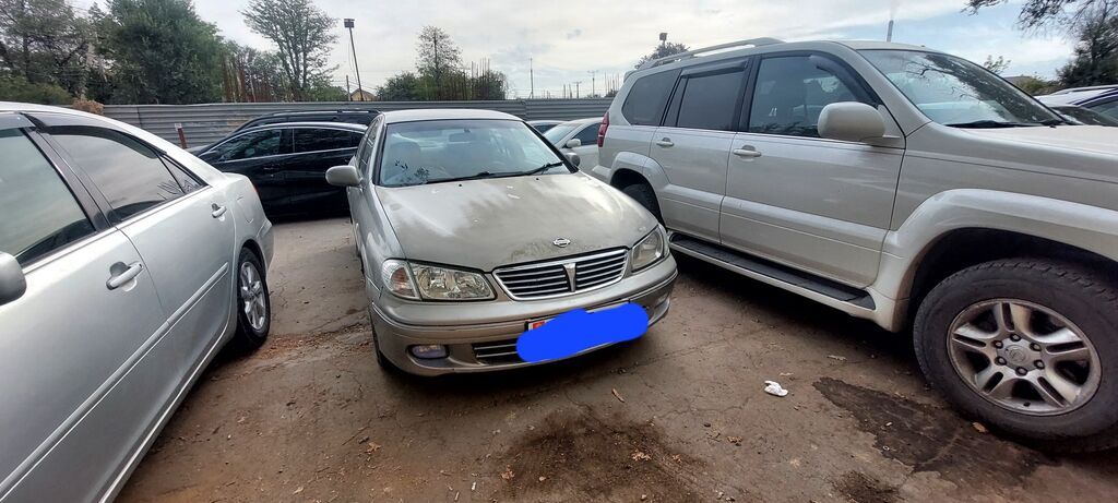 Nissan Sylphy: 2002 г., 1.8 л, Автомат, Бензин, Седан: фото 3