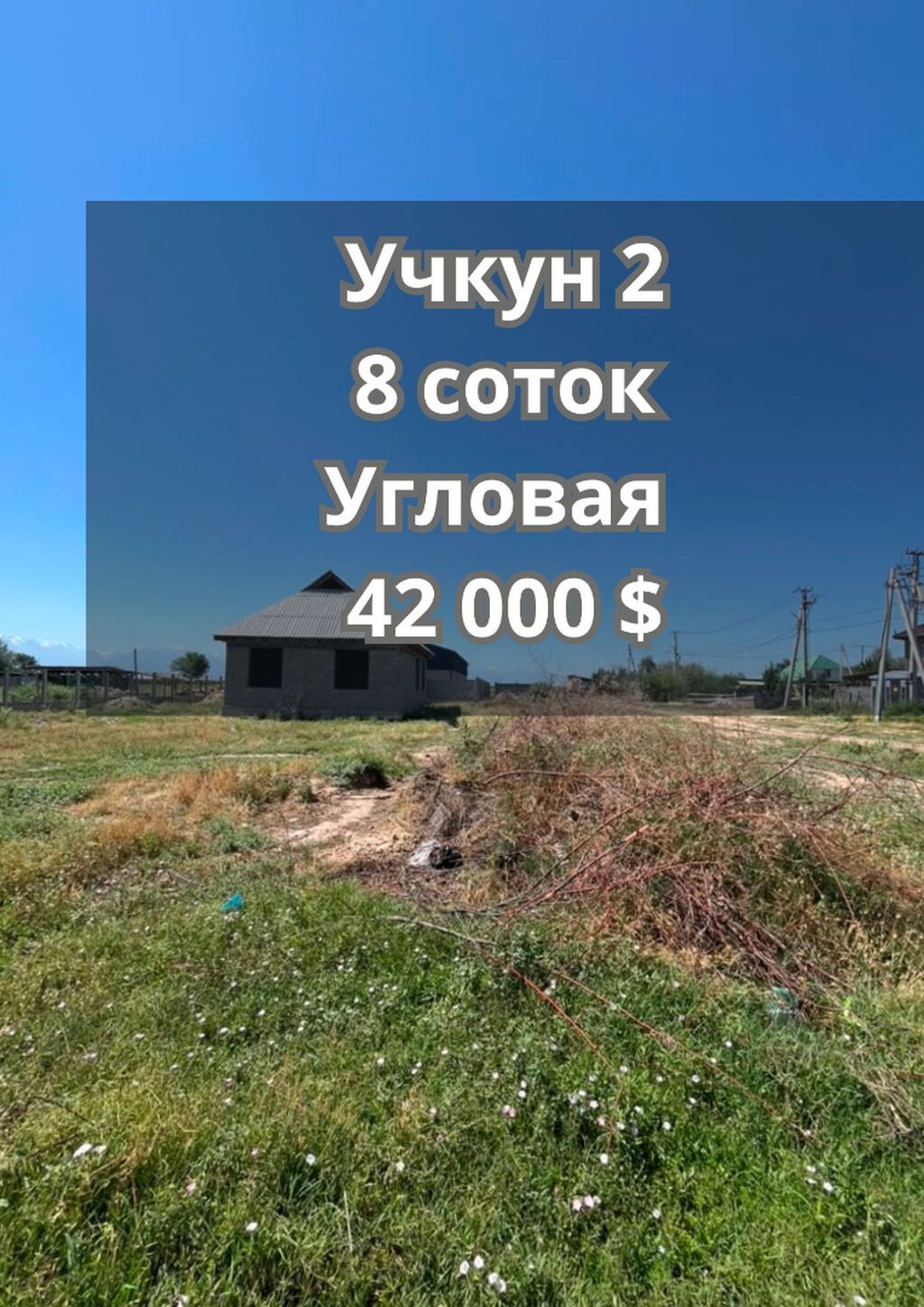 8 соток, Для строительства, Красная книга, Договор купли-продажи: фото 1
