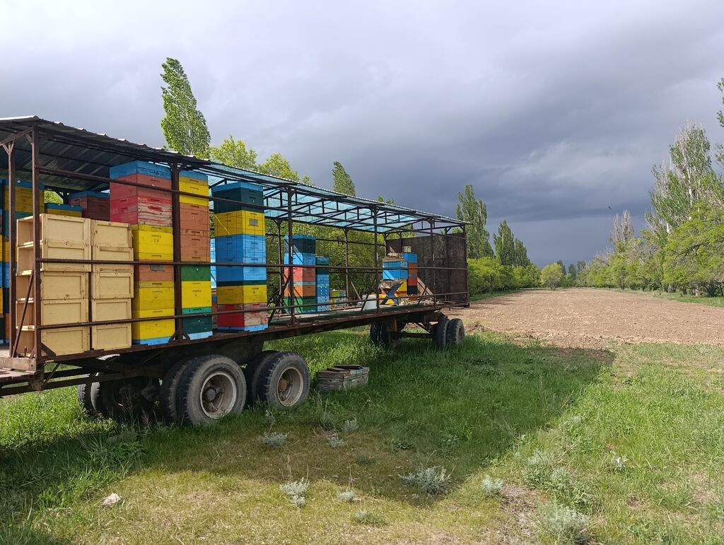 Прицеп, Special trailer, Б/у: фото 6