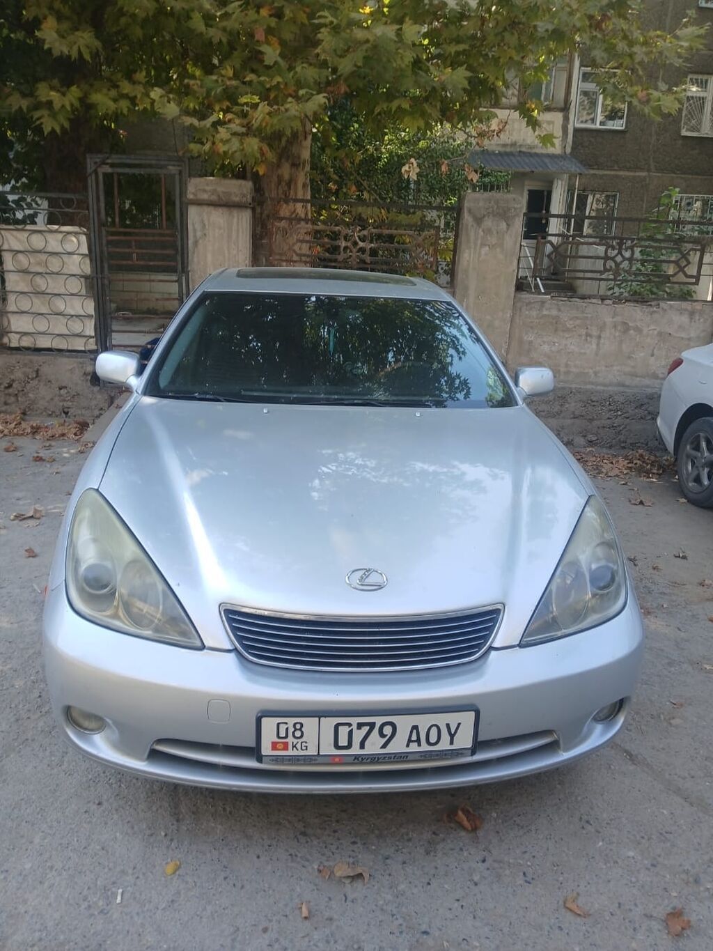 Lexus ES: 2005 г., 3.3 л, Автомат, Газ, Седан: фото 1