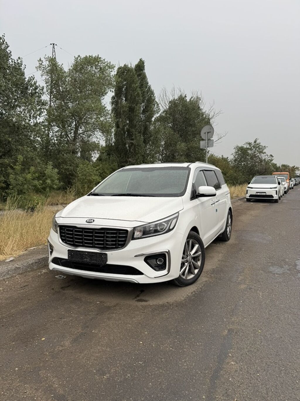 Kia Carnival: 2019 г., 2.2 л, Дизель, Минивэн: фото 1