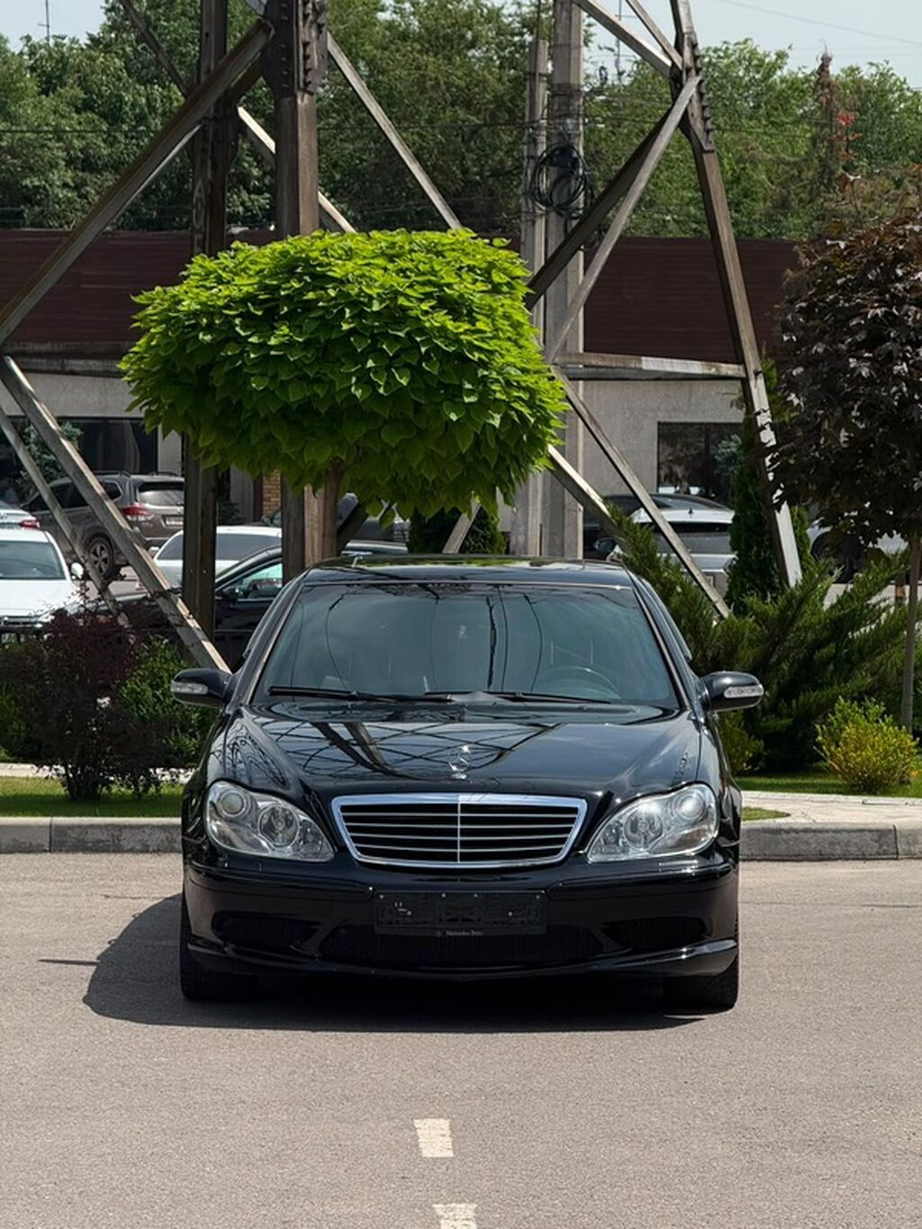 Mercedes-Benz S-Class: 2004 г., 5.5 л, Автомат, Бензин, Седан: фото 3