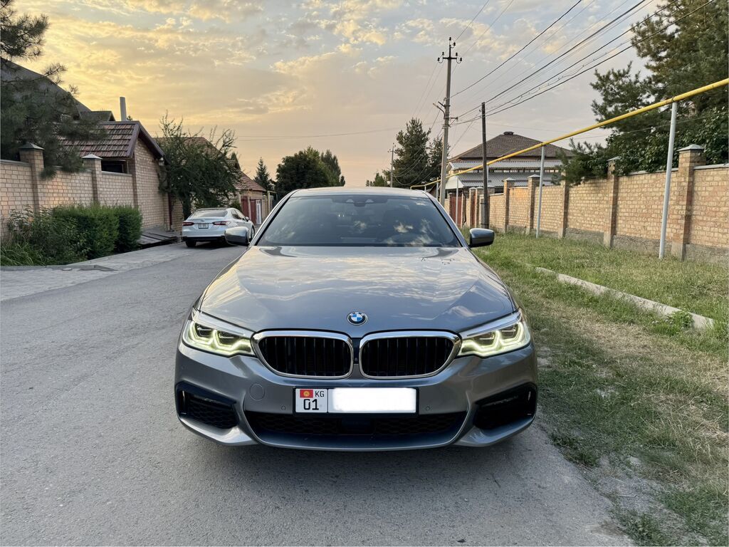 BMW 5 series: 2019 г., 2 л, Автомат, Дизель, Седан: фото 3
