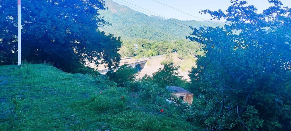 25 sot, Tikinti, Mülkiyyətçi, Kupça (Çıxarış)