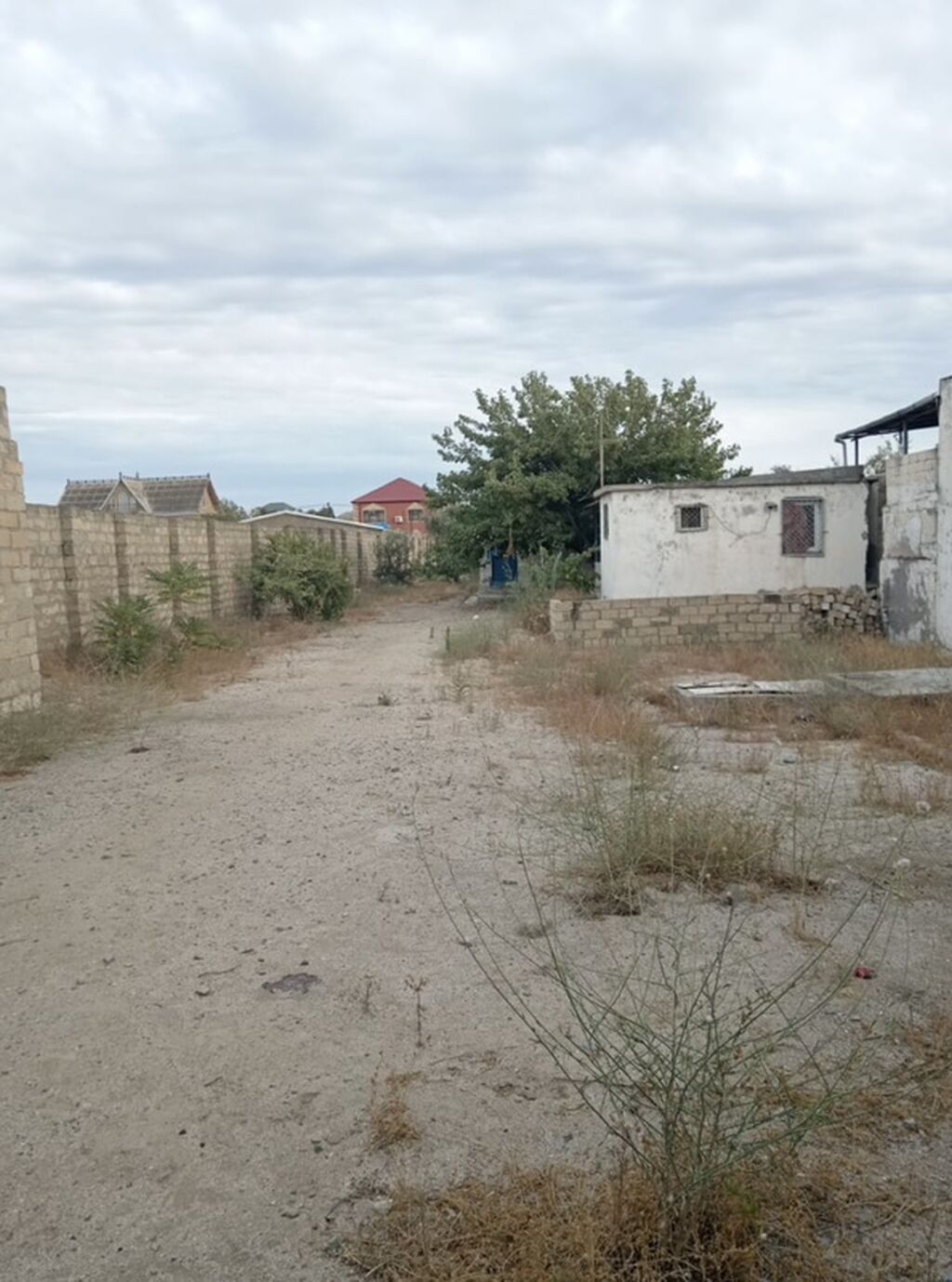 12 sot, Tikinti, Mülkiyyətçi, Kupça (Çıxarış)
