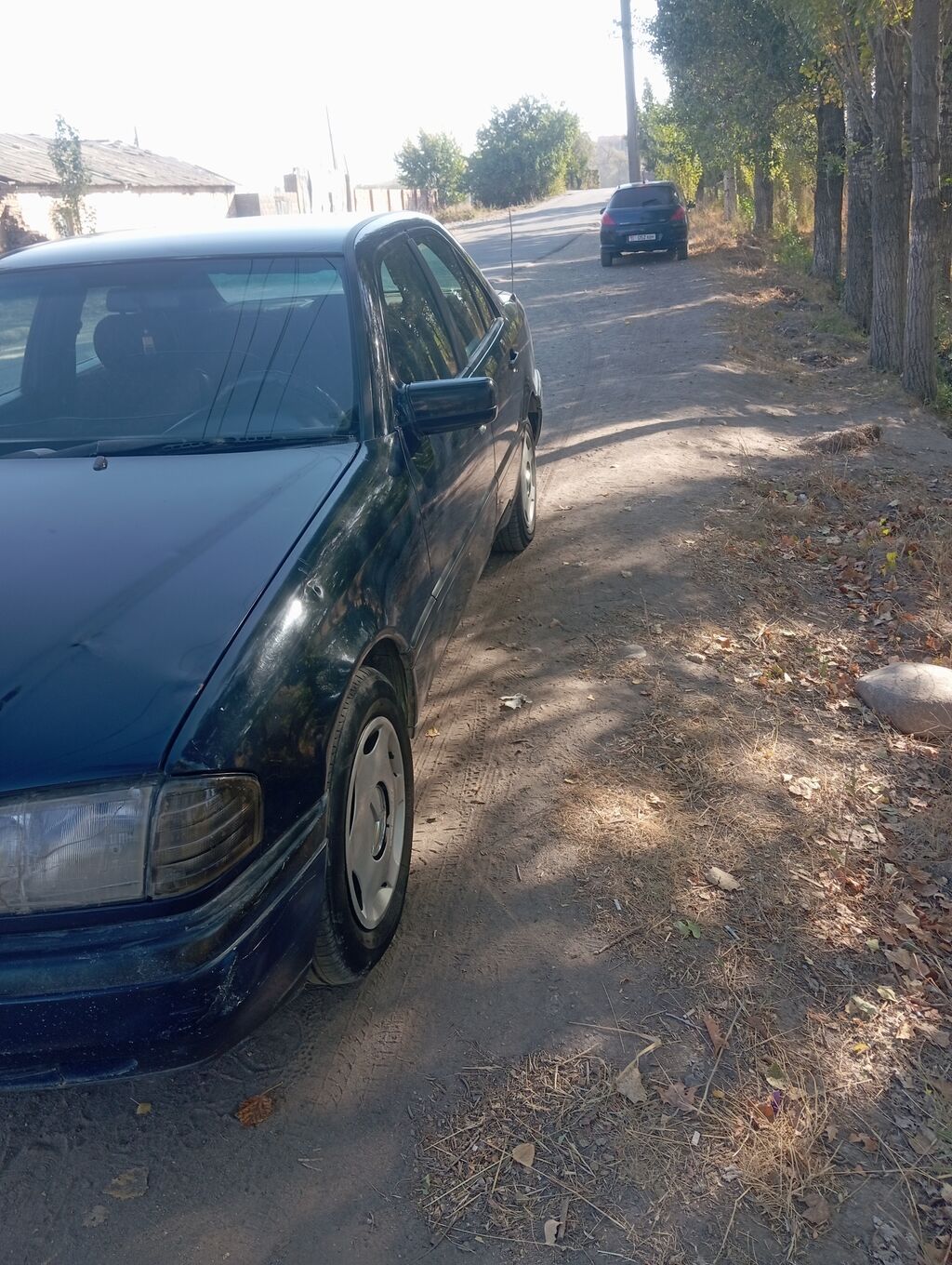 Mercedes-Benz C-Class: 1994 г., 2.2 л, Механика, Бензин, Седан: фото 2