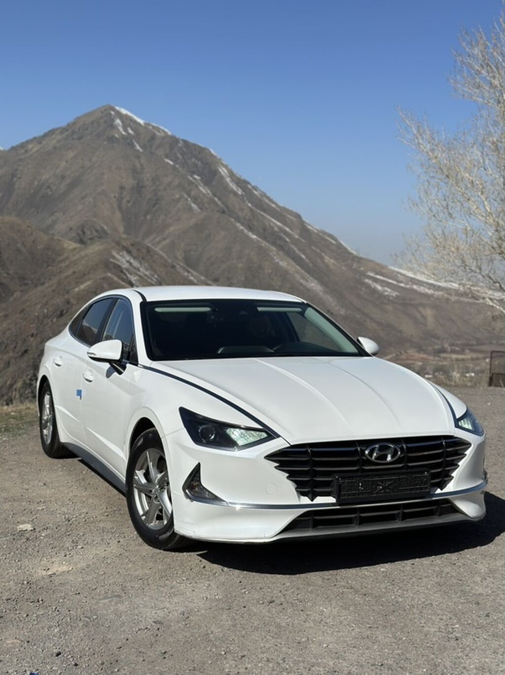 Hyundai Sonata: 2019 г., 2 л, Автомат, Газ, Седан: фото 2