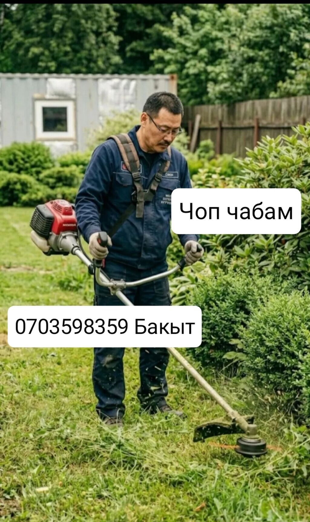 Услуги садовника и озеленение. - Формовочная стрижка хвойных: ель: фото 1