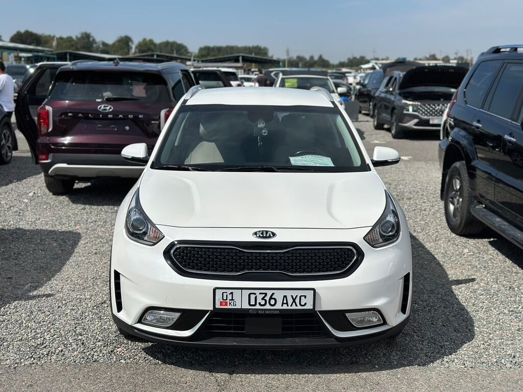 Kia Niro: 2018 г., 1.6 л, Автомат, Гибрид, Кроссовер: фото 1