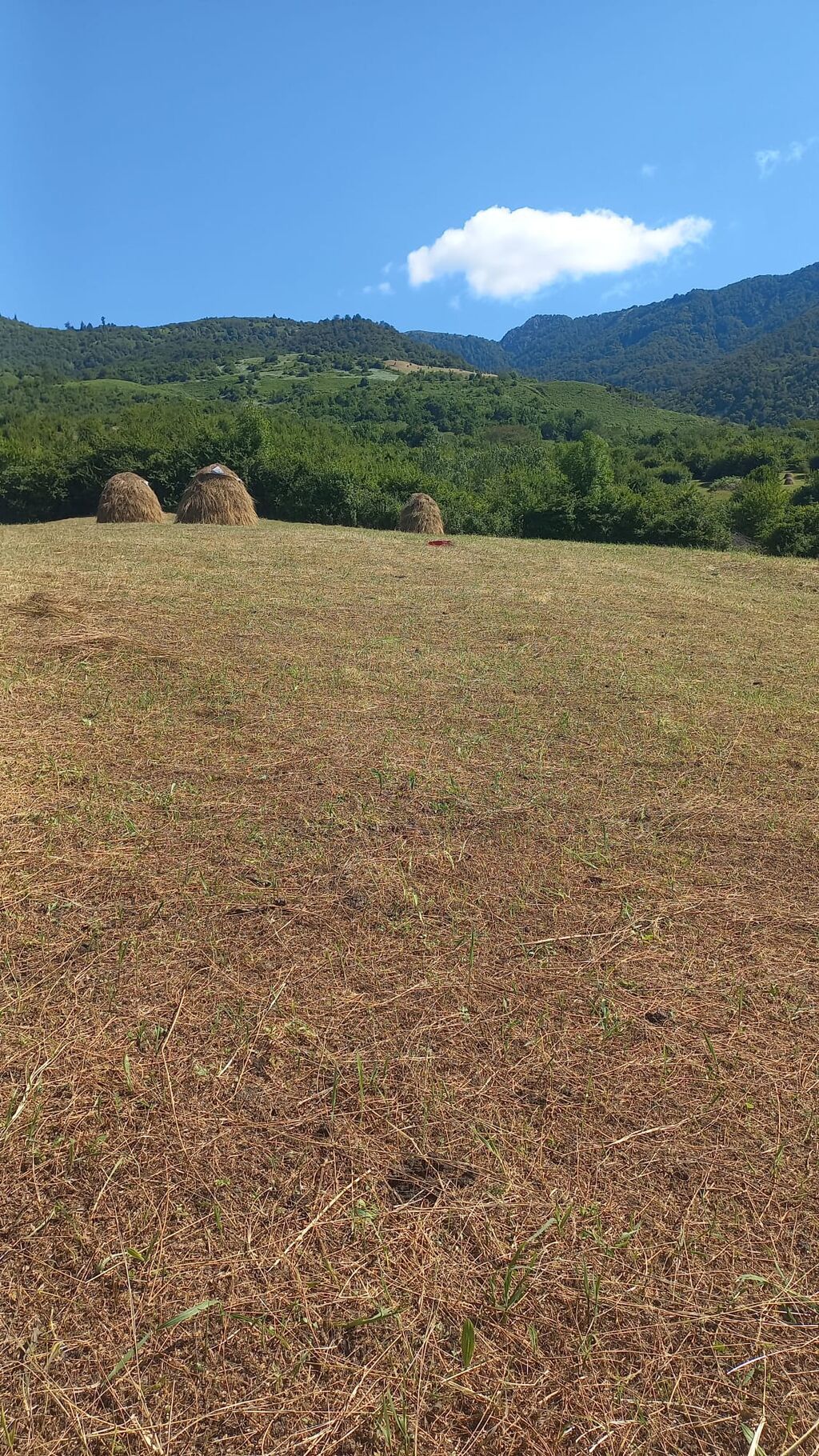 170 sot, Kənd təsərrüfatı, Mülkiyyətçi, Kupça (Çıxarış)