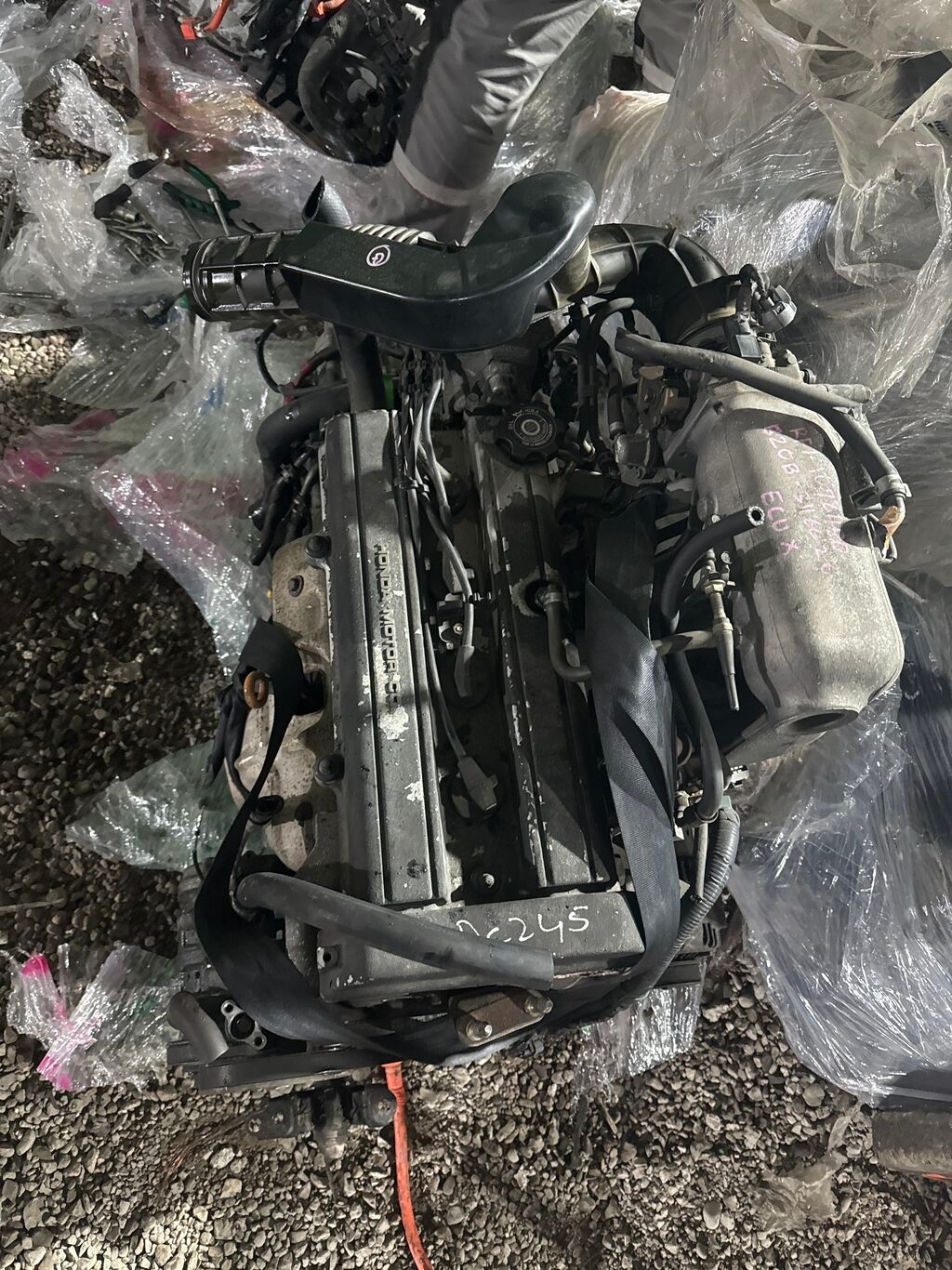 B20b Б20Б Хонда степ рф1 Honda step rf1 Хонда срв Хонда црв Honda: фото 1