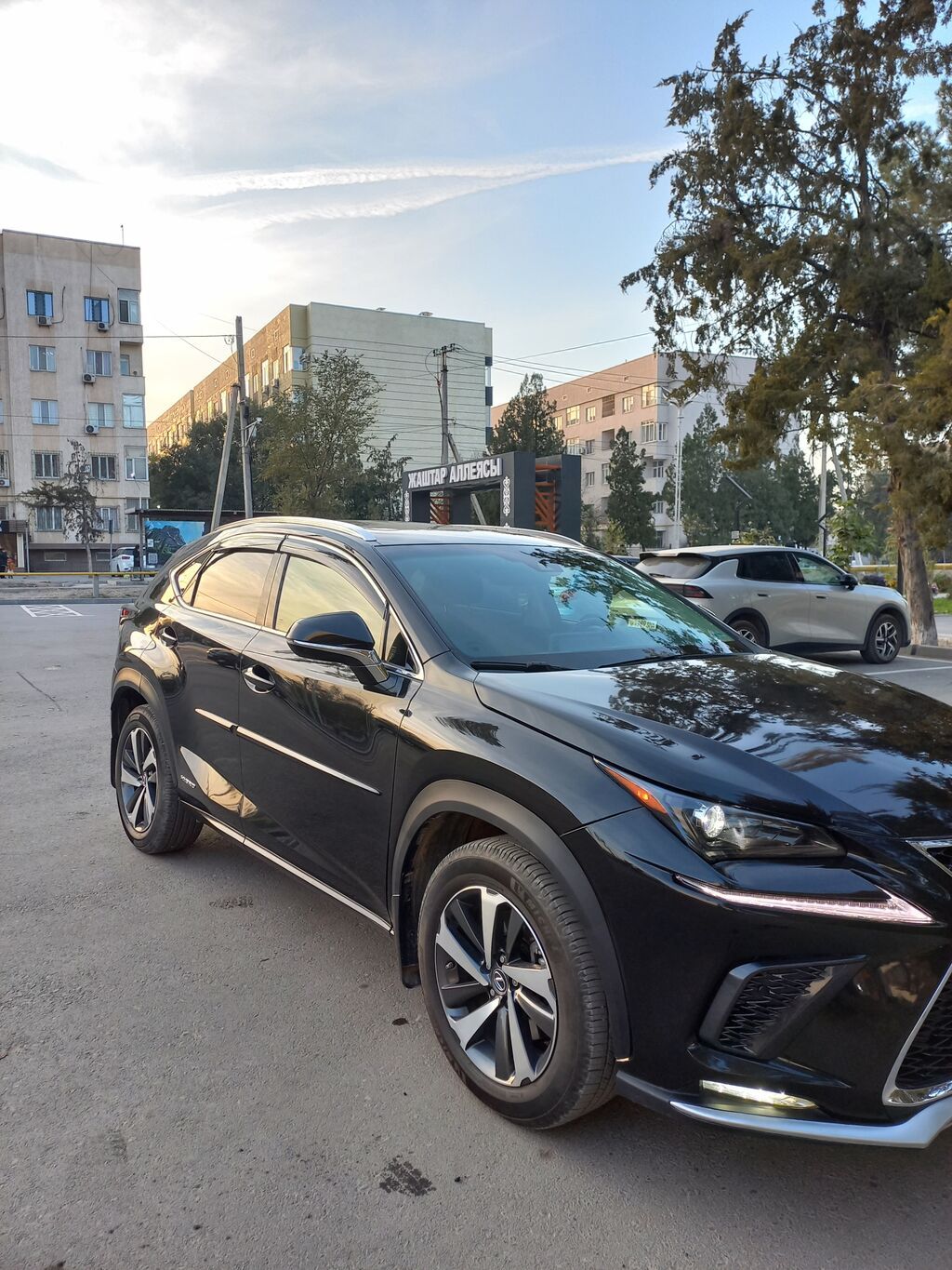 Lexus NX: 2019 г., 2.5 л, Автомат, Гибрид, Кроссовер: фото 7