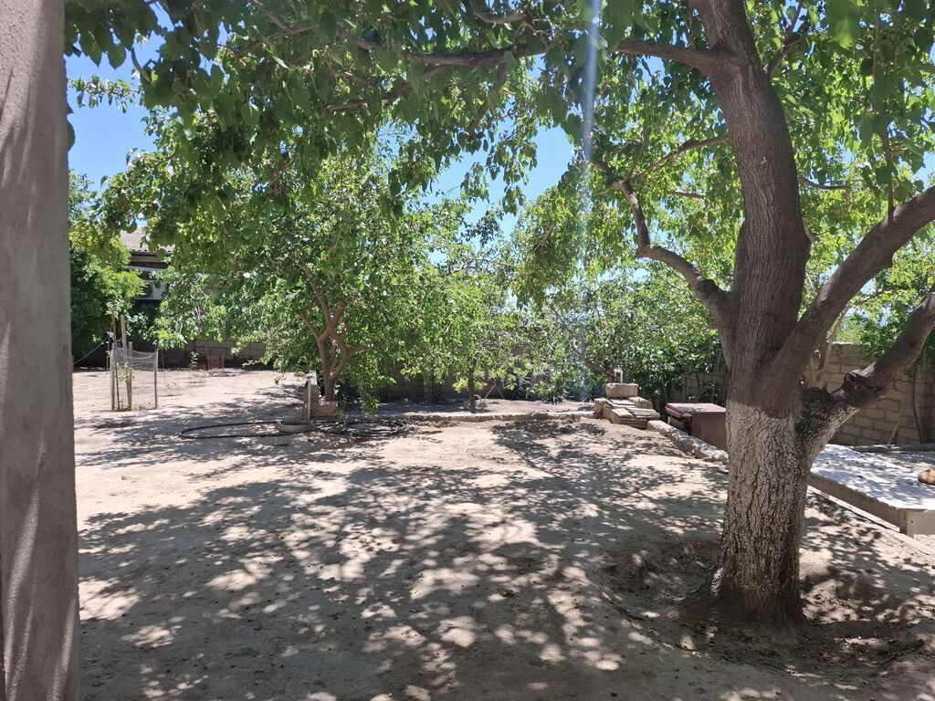 55 kv. m, 1 otaqlı, İnternet, Qaz, İşıq