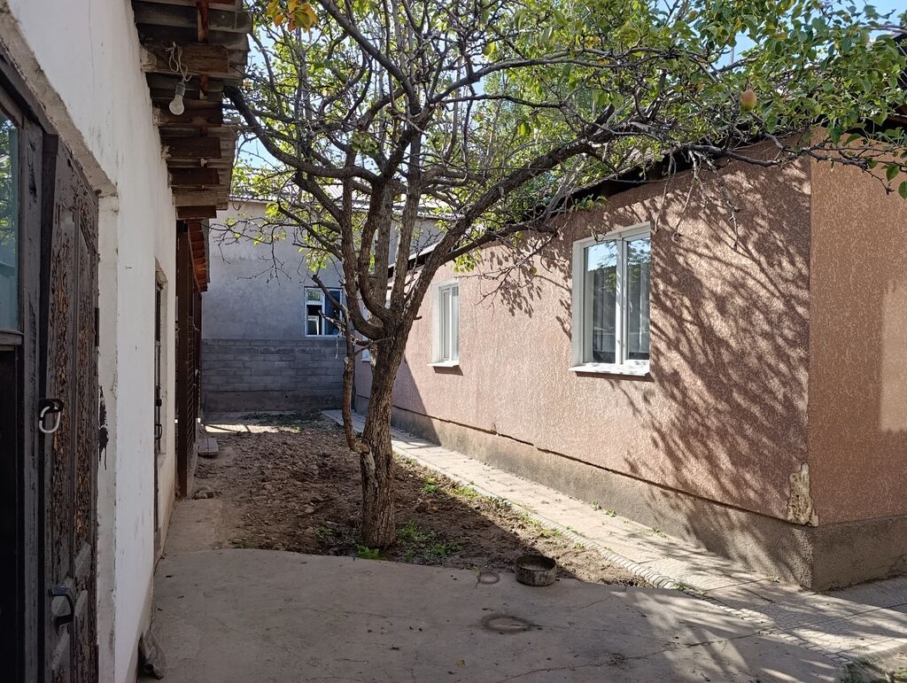 Продам дом с двором в Кок-Жаре: фото 4