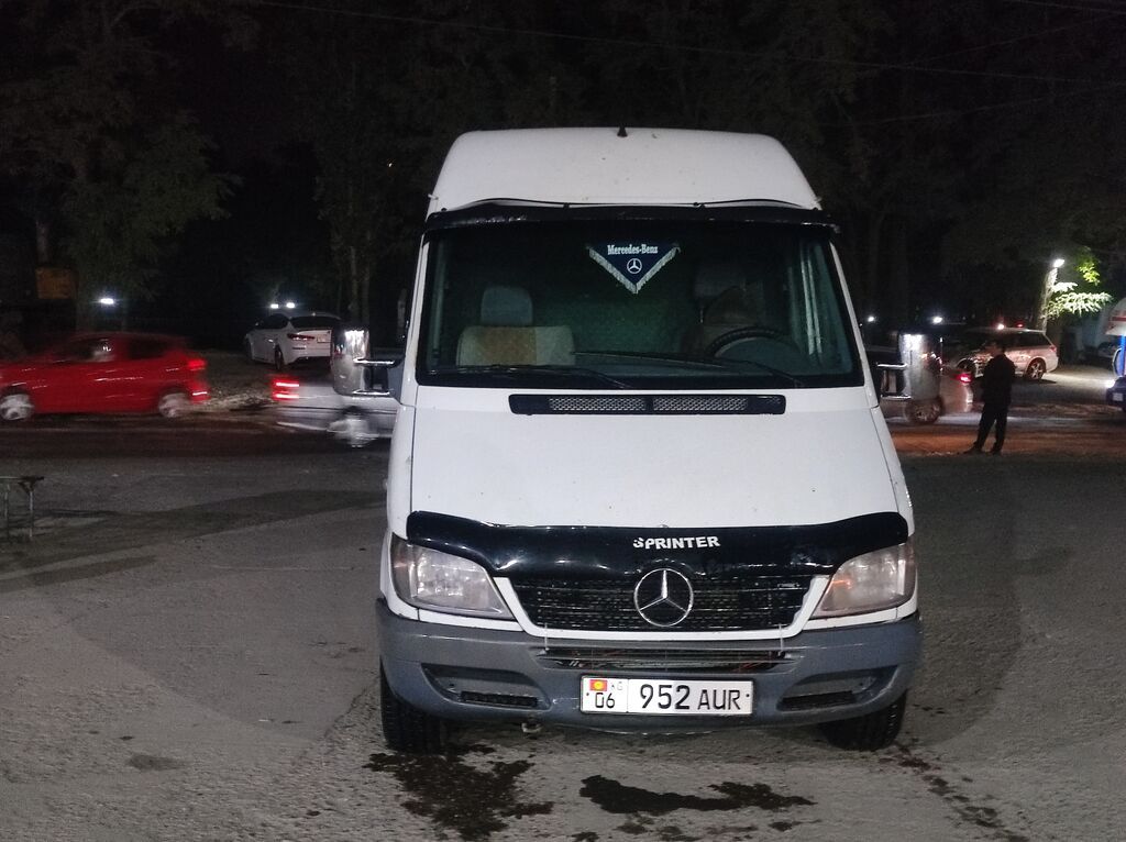 Mercedes-Benz 