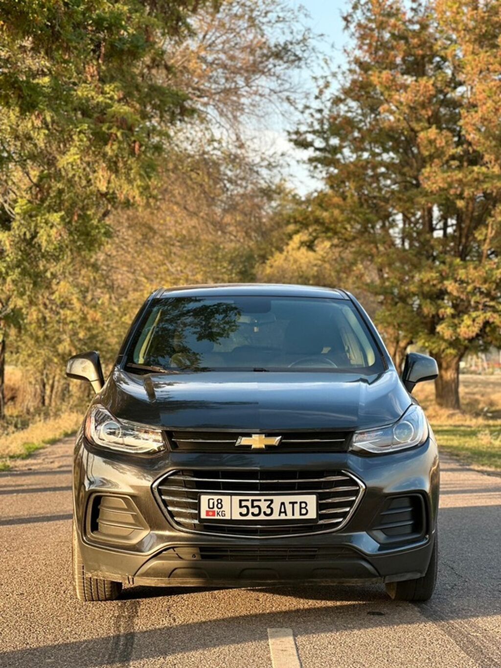 Chevrolet Trax: 2019 г., 1.4 л, Автомат, Бензин, Кроссовер: фото 5