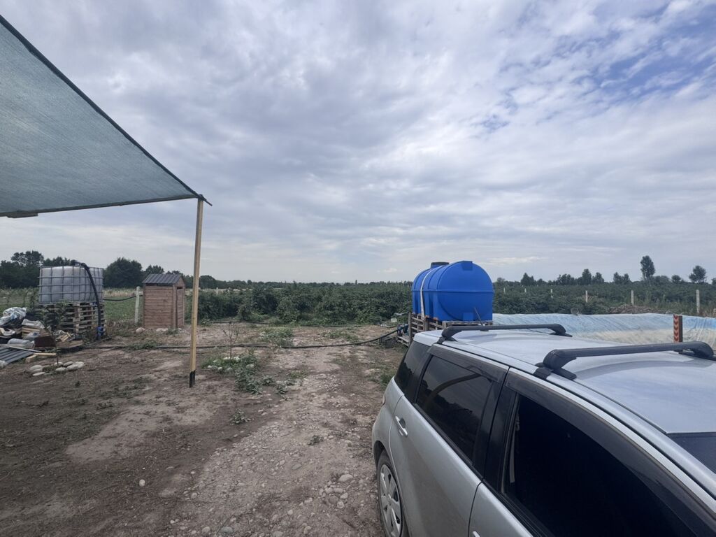 Сборщик урожая