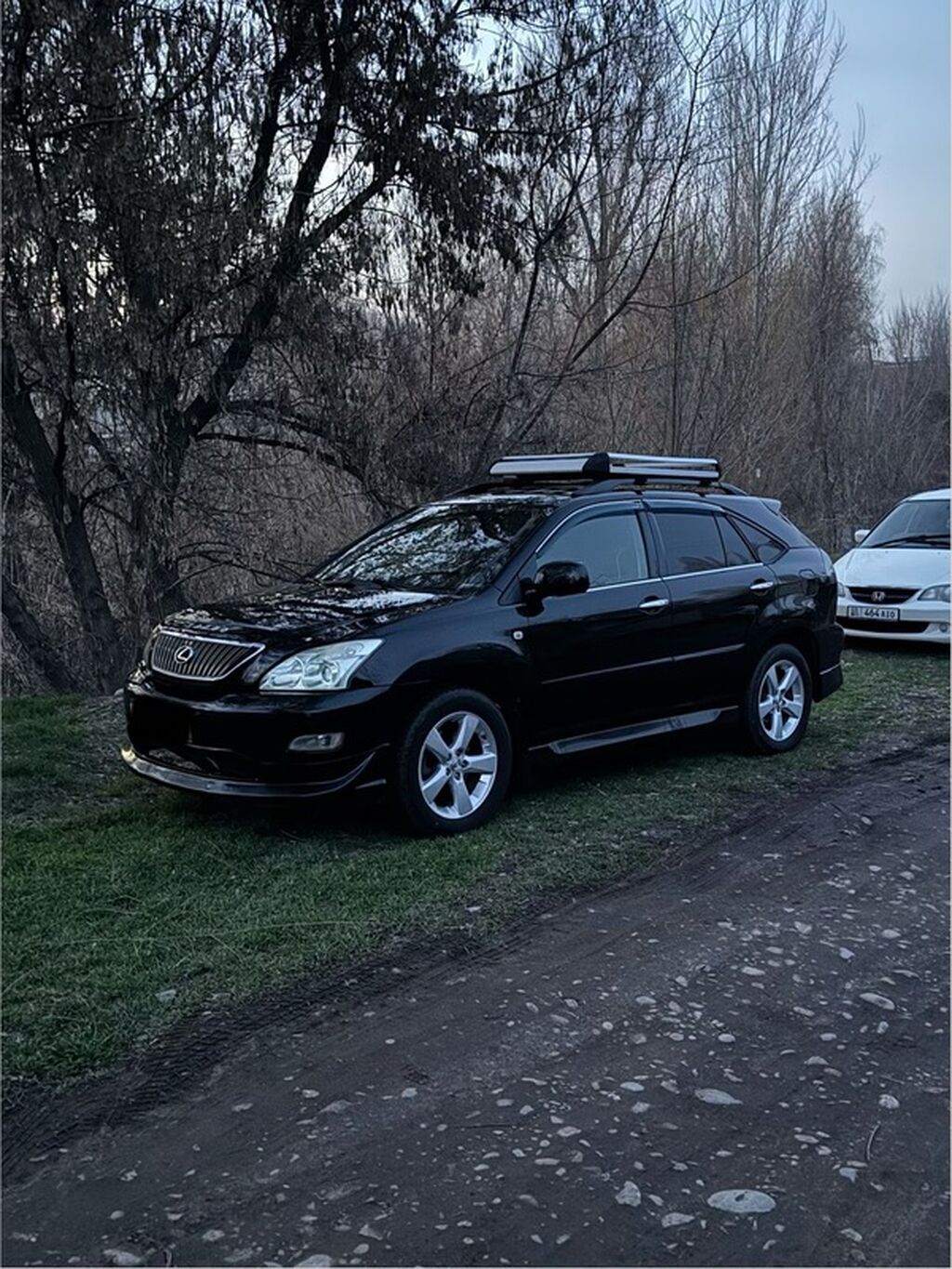 Lexus RX: 2004 г., 3 л, Типтроник, Газ, Кроссовер: фото 2