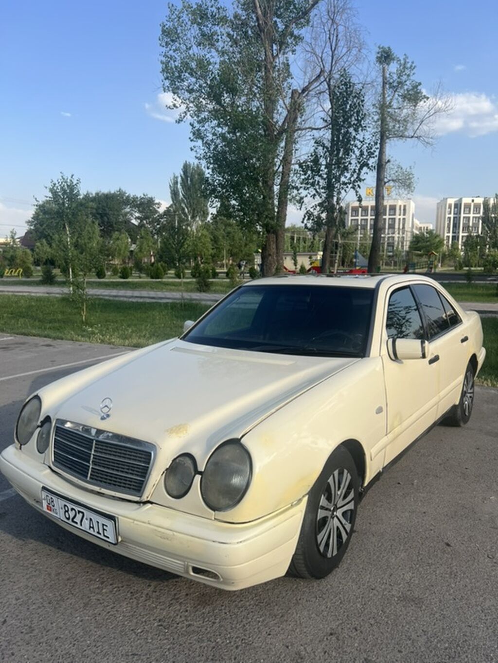 Mercedes-Benz E-Class: 1996 г., 2.9 л, Автомат, Дизель, Седан: фото 1