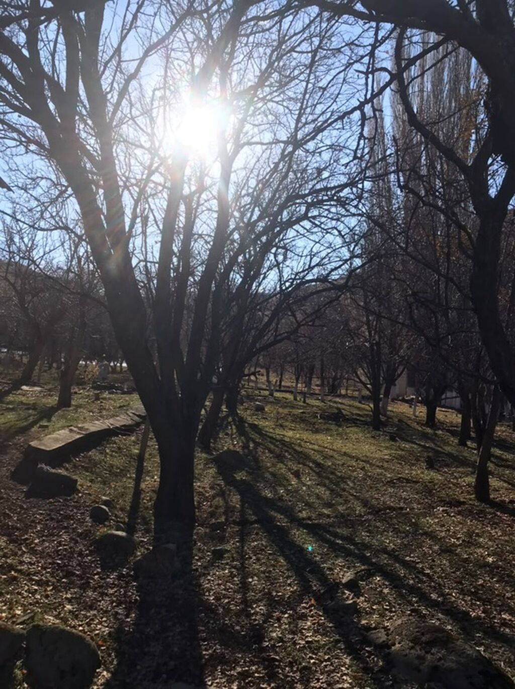 Продается дачный участок площадью 4.5 сотки в с. Уч-Эмчек, КСТ: фото 4