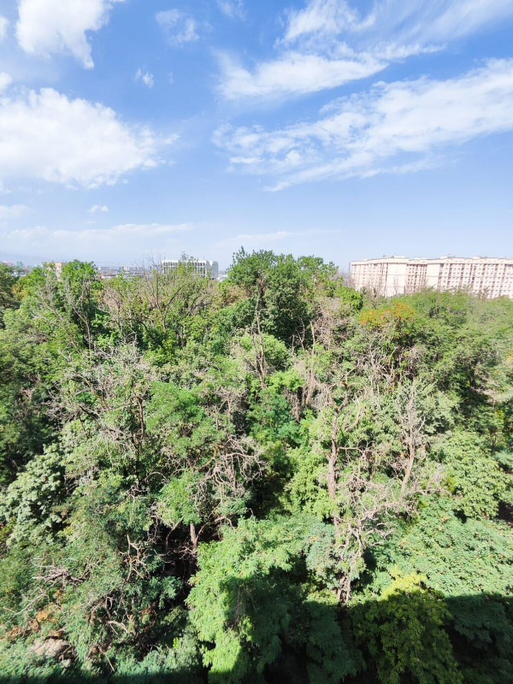 2 комнаты, 57 м², Азия Молл Элитка, 9 этаж, Косметический ремонт: фото 2
