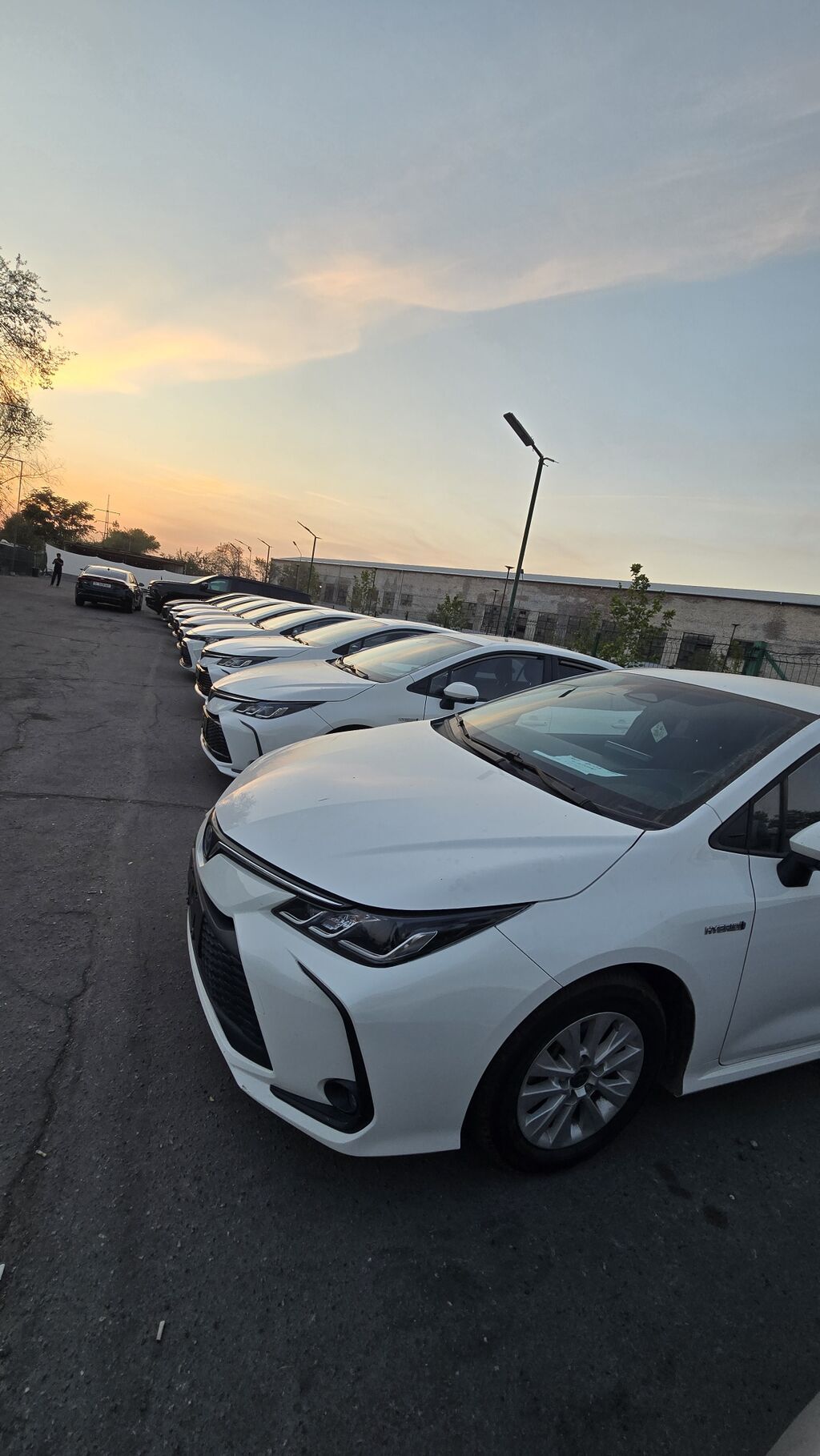 Toyota Corolla: 2021 г., 1.8 л, Вариатор, Гибрид, Седан: фото 7