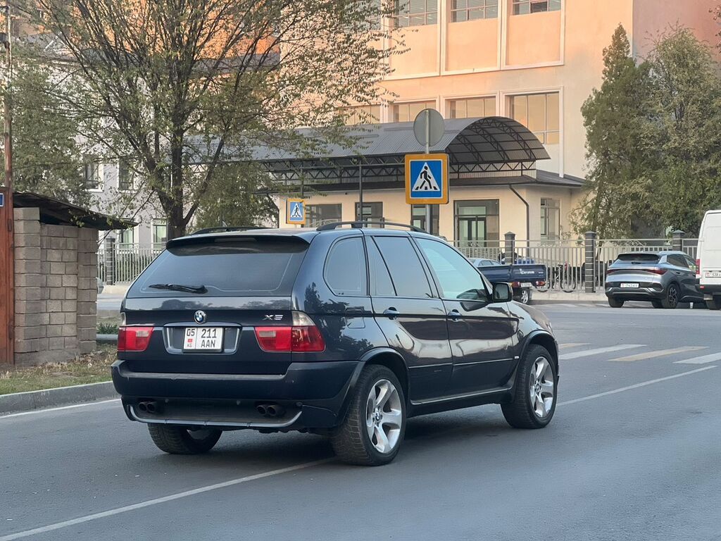BMW X5: 2004 г., 4.4 л, Автомат, Бензин, Кроссовер: фото 8