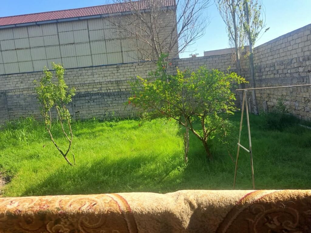 10 sot, Tikinti, Mülkiyyətçi