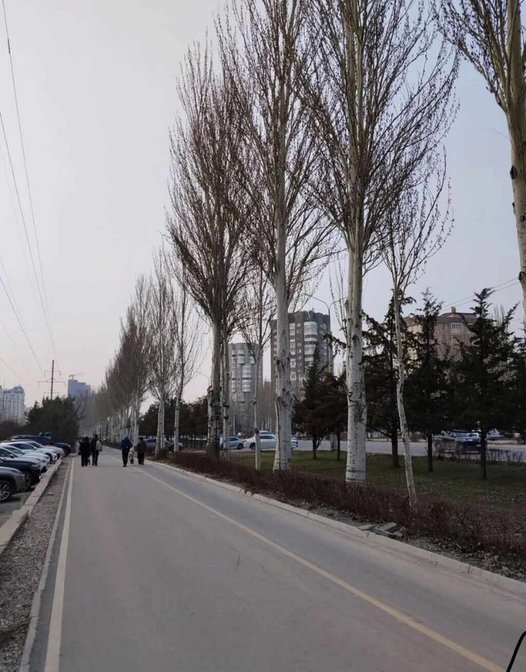 1 комната, 51 м², Элитка, 3 этаж, Евроремонт — фото 2
