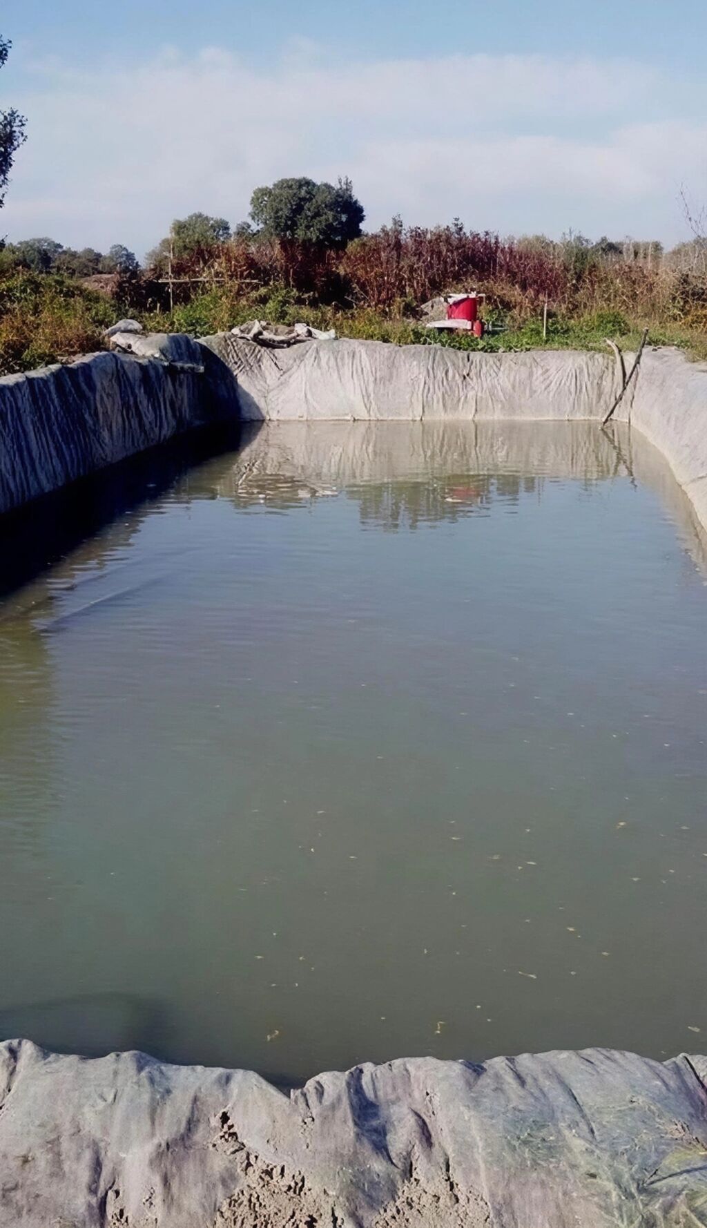 180 sot, Kənd təsərrüfatı, Kupça (Çıxarış)